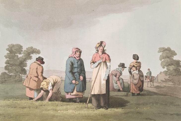 Lowkers_Corn_Weeders_1814.jpg